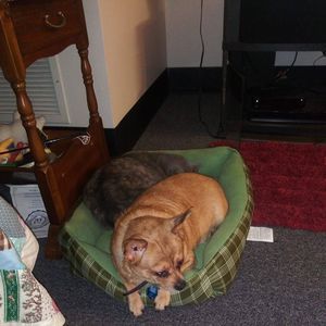 Meet your Posher, Allison